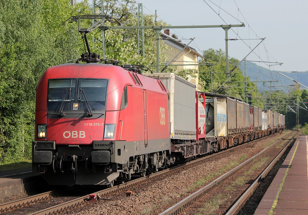 1116 1275-7 der �BB in Bonn Oberkassel am 07.05.2011