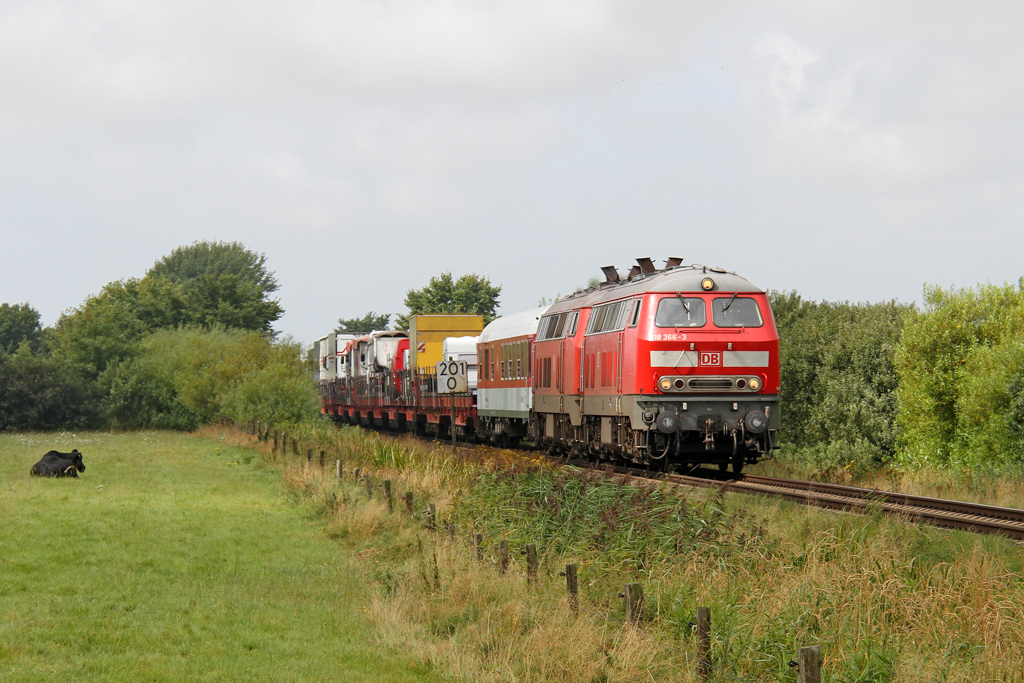 Die 218 366-3 und 218 319-2 bei Nieb�ll am 16,08,12