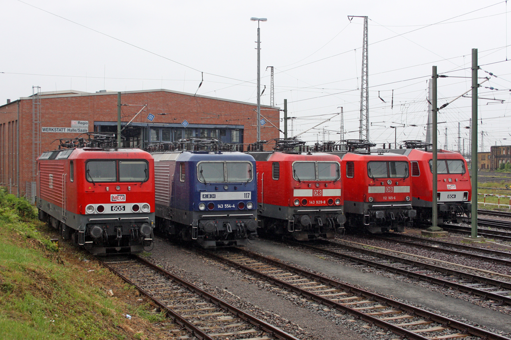 Die MEG 605 ( 143 344-0 ) , RBH 117 ( 143 554-4 ) , 143 929-8 , 112 165-6 and MEG 804 ( 156 004-4 ) beim Sommerfest im DB Museum / DB Regio Werk Halle (Saale) am 02,07,11