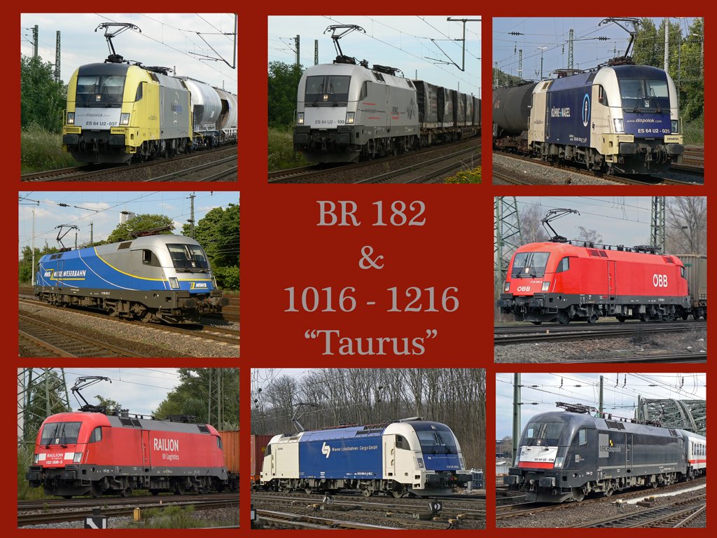 Eine Collage zum Thema  Taurus  DB BR 182 / �BB 1016-1216 !