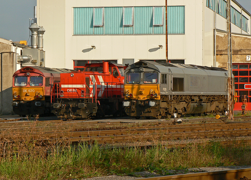 Kleine Dieselparade im BW Br�hl Vochem bei der HGK am 18.09.2010