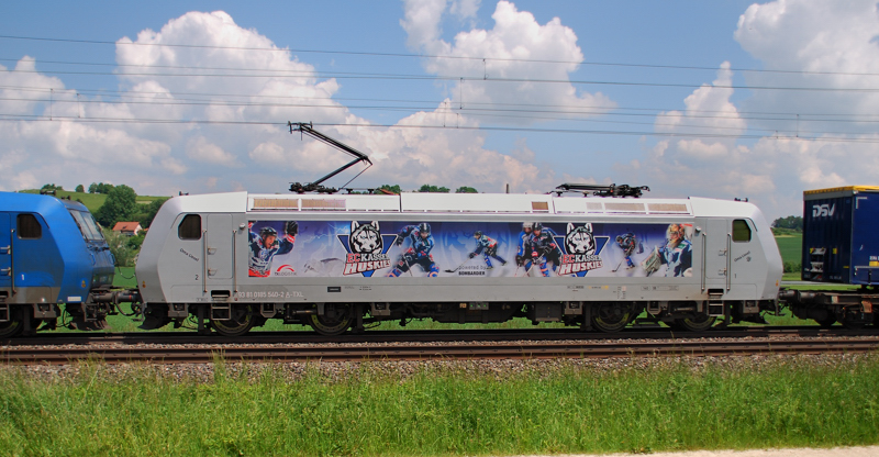 Portrait 185 540-2, Kassel Huskies, aufgenommen am 08.06.13, N�he Treuchtlingen.