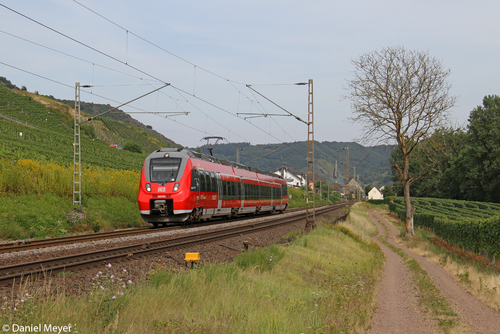 Der 442 704 in Pommern ( Mosel ) am 22.08.2013