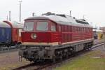 Die 130 101-9 beim Sommerfest im DB Museum Halle (Saale) am 02,07,11