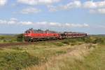 Die 218 344-0 und 218 385-3 bei Morsum am 14,08,12