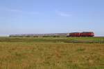 Die 218 362-2 und 218 321-8 bei Morsum am 14,08,12