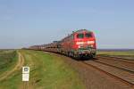 Die 218 364-8 und 218 313-5 bei Morsum am 14,08,12