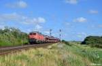 218 319-2 und 218 344-0 mit dem AS 1442 (Niebüll - Westerland(Sylt) am 26.07.2015 in Keitum.