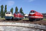 Die 217 014-0 , V200 007 und 229 188-8 im BW N�rnberg Gostenhof am 20,08,10