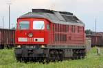 Die 233 486-0 in M�hldorf am 03,08,10