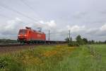Die 152 025-3 in Ramelsloh am 10,08,11