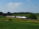 Megalokzug durch Petershausen.