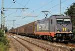 241.001 von Hectorrail in Wrist am 02.08.2011