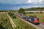 Gern gesehen die Baurehe 421 der SBB.